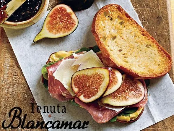 住宿加早餐酒店 Tenuta Blancamar Country